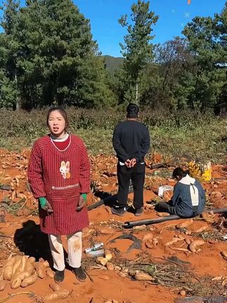 2025年头茬天山雪莲果新鲜上市啦,喜欢吃的赶紧来尝尝鲜吧!#雪莲果成熟了#脆甜多汁#现挖现发#低糖低脂低热量#雪莲果