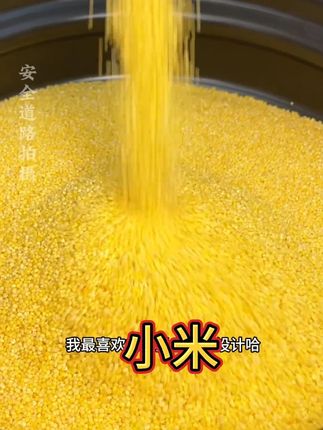 没有网红没有明星我自己拍视频卖小米 #黄小米 #小米粥 #五谷杂粮