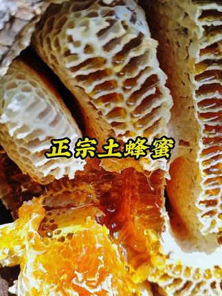 #湛江 #雷州 #雷州方言
