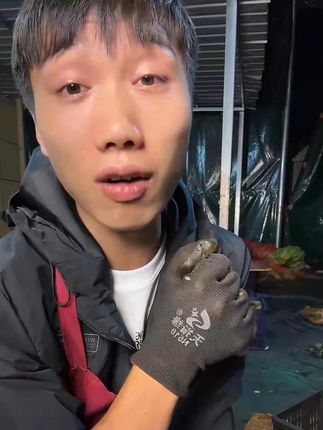 #农村男孩 #优质农产品 #无限回购的宝藏单品 #在抖音入手的好东西 #高山老树核桃