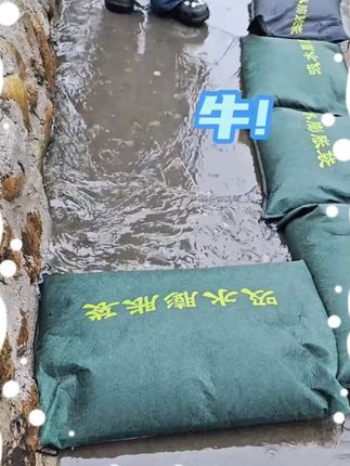 防汛防洪专用沙袋帆布吸水膨胀抗洪物业阻水编织沙包家用防水加厚#防汛沙袋 #吸水沙袋 #防洪用品 #帆布沙袋 #家用防水