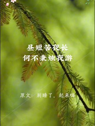 推荐你读完这本《力量金句》里面收录了很多中外经典名言金句,总有一句话让你瞬间醒悟!#好书分享 #提升自己 #智慧人生 #金句