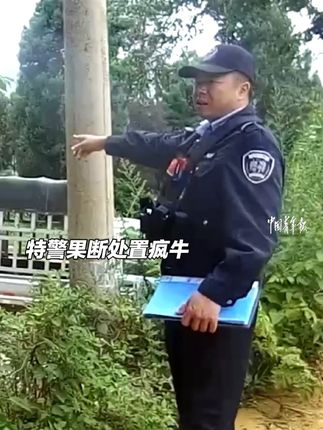 水牛失控,民警在综合多方意见并征得牛主人同意后,连开4枪将其击毙。