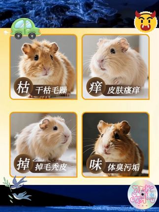 怪兽盒子小宠沐浴露荷兰猪香波除臭护理液花枝鼠兔子洗澡毛发蓬松 #快乐养宠 #家有萌宠 #宠物用品
