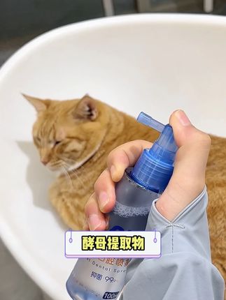不用追着毛孩子刷牙啦!宠物口喷轻轻一按,口气清新一整天。#萌宠好物 #新手养猫 #科学养宠