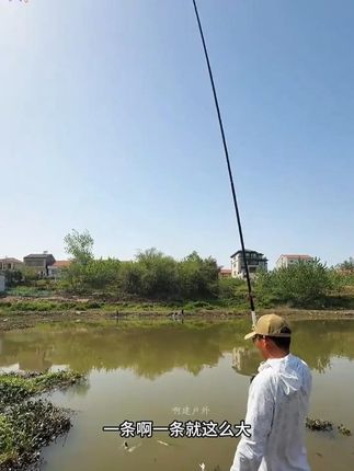 鱼饵料:适合多种鱼类垂钓,入水后诱鱼效果好,使用时调配简单,野钓、池塘钓鱼都适用,携带轻松#爆护饵料 #爱生活爱钓鱼