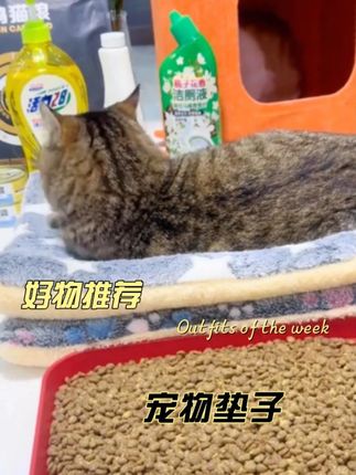 宠物棉垫清库存,机不可失,很多尺寸可以选,机洗不变形不跑棉 #养猫用品推荐 #萌宠好物 #养猫新手 #养猫人