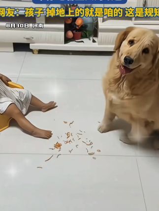 #穿搭  #显瘦穿搭 #小个子穿搭 #裤子  !)!20tjyh6
