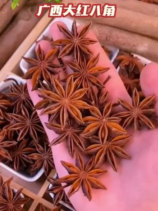 【全干八角大料】广西秋收大红八角足干无硫香料调味卤料火锅100克#八角 #香料