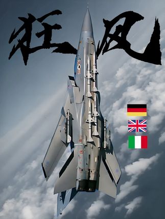欧洲三强“攒”出的冷战怪兽 当英国、德国和意大利坐在一间会议室里,决定共同研制一款“全能”战斗机时,没人能预料它会成为一代传奇。它就是“狂风”——冷战阴影下诞生的变后掠翼猛兽。#军事科技 #军事科普 #军事爱好者 #狂风 #硬核深度计划