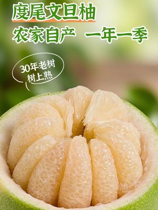 【现买现摘】正宗福建仙游度尾文旦柚红心柚当季现摘孕妇新鲜水果 #文旦柚 #新鲜水果 #柚子 #现摘现发 #水果自由