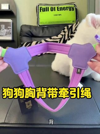 #萌宠好物 #萌宠 #萌宠日常记录 #好物推荐🔥 #便宜好物