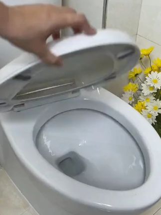 通用型马桶盖家用加厚缓降老式U型V耐用坐便器盖板盖子座便配件 #卫生间好物 #马桶盖 #通用型马桶盖 #实用好物 #好物分享 【第4代】马桶盖家用通用加厚缓降老式U型马桶圈坐便器盖板配件