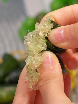 K你吃过水果中的鱼子酱吗?它就是#手指柠檬 ,又柠檬的酸又有柑橘的甜,#口感非常好 ,没吃过的赶紧试试吧#水果