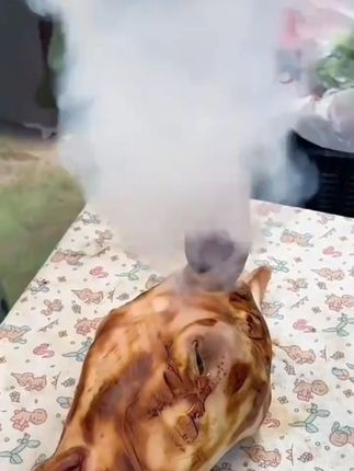 【新疆包邮乌市直发】电烫羊皮烙肉器烙毛除毛神器烙铁家用电烙羊皮#电烫羊皮烙肉器 #烙毛神器 #家用电烙工具 #新疆包邮 #羊皮除毛