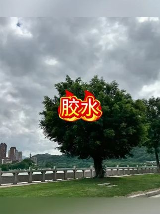 ALTECO/安特固多功能胶水塑料树脂金属木材瓷器橡胶强力快干通用#胶水 #强力胶 #强力胶水 #多功能胶水 #补鞋胶