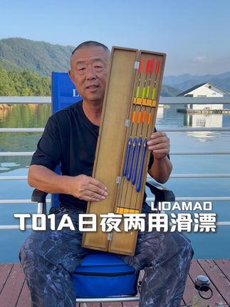T01A日夜两用电子滑漂它来了 #滑漂 #矶钓 #钓鱼好物 #李大毛