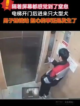 #好物推荐🔥#户外应急用品