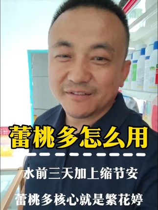 蕾桃多,水前三天和缩节安配合,蕾多花多桃多 #棉农 #陆俊吉 #农多收