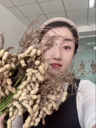2025新花生