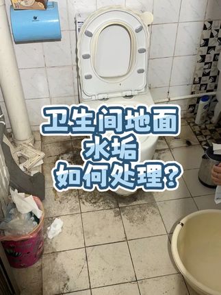 卫生间地面有水垢、尿垢不知道怎么处理的?都可以试试这款强力除垢剂#极宝居清洁剂 #卫生间好物 #家务好帮手