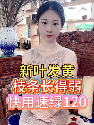 新叶发黄 枝条长得弱 快用速绿120 #农业种植 #种植技术 #三农 #三农种植