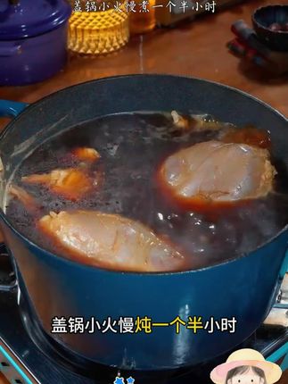 潮汕卤汁老卤水卤味料包隆江猪脚饭卤鹅肉酱牛肉卤料包家庭 #美食推荐 #美食vlog #我是美食创作者 #美食探店日记
