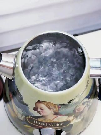 意大利式联名油画风大容量水壶304不锈钢手工烧水壶法式电热水壶#精选好物 #大容量水壶 #304不锈钢 #法式电热水壶