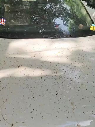 德国配方清洁剂,除虫胶鸟粪水痕铁锈黄斑超有效! #鸟粪清洁剂 #虫胶去除剂 #内饰油膜清除 #内饰去污 #多功能清洁