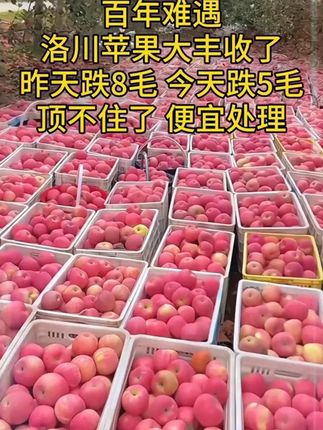 #红富士苹果 脆甜脆甜的红富士苹果来喽,皮薄多汁,清脆爽口,看到你们有没有想吃#应季水果 #脆甜多汁 #苹果 #好吃到停不下来