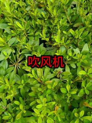 #颈部护理  #面膜辅助  #美容工具