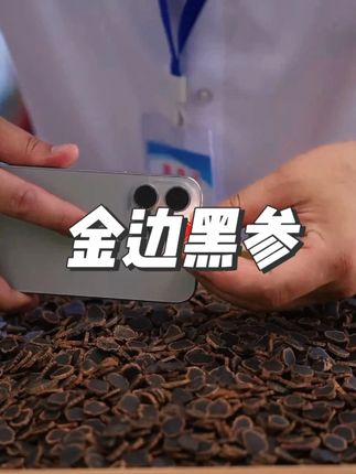 金边黑参