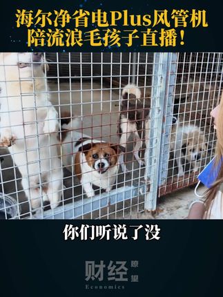 流浪毛孩在海尔空调出道啦#海尔洗空气空调#海尔空调萌主出道计划#海尔净省电Plus风管机 #谁是海尔空调爆单王