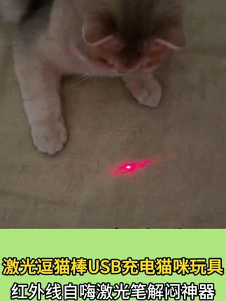 有了这只激光逗猫棒,随时都可以跟小猫咪互动啦#新手养猫 #猫玩具 #猫咪的迷惑行为