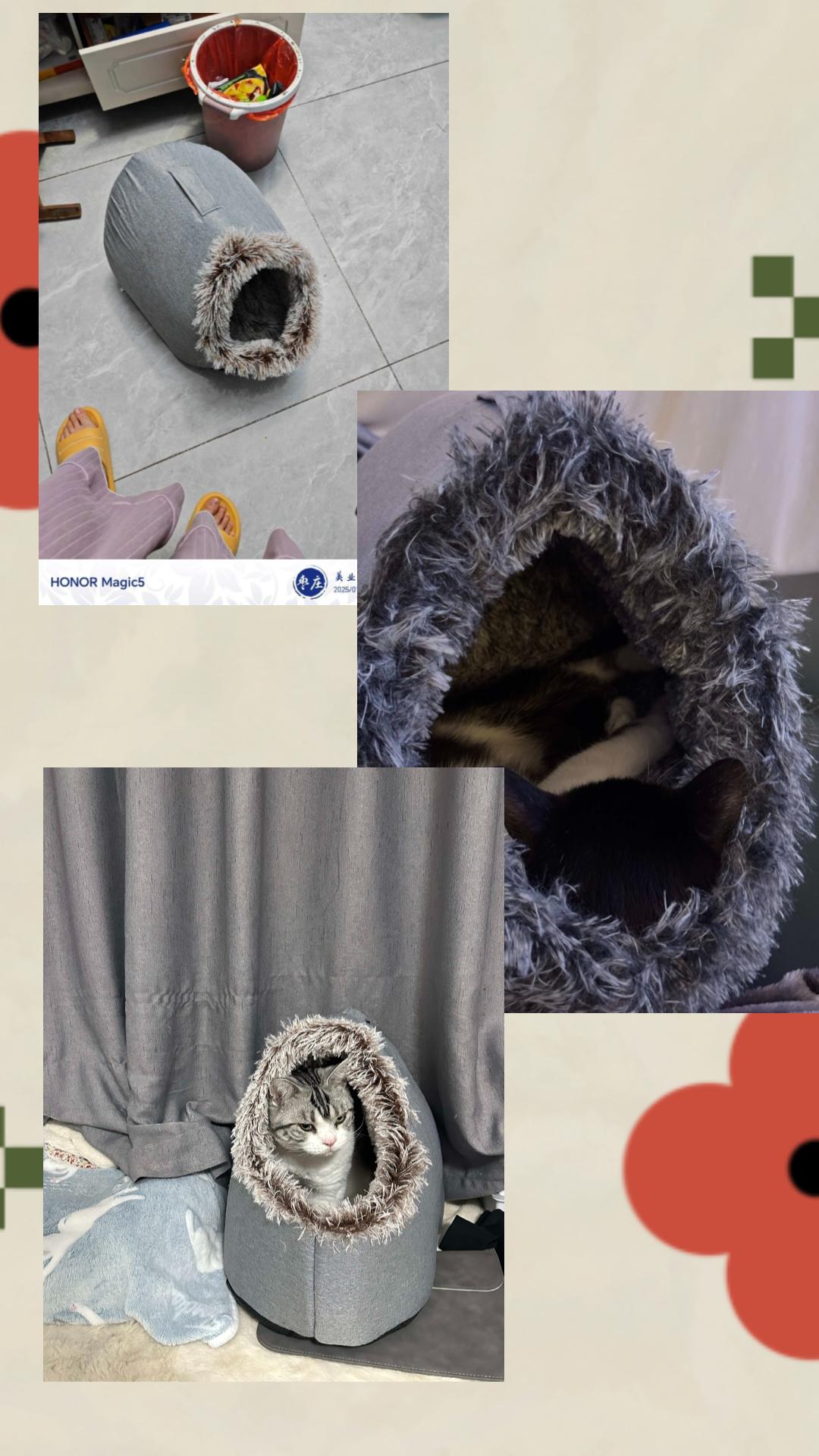 这个洞穴窝真的好暖和呀!再也不怕冻着毛孩子了#狗窝 #宠物窝 #猫窝 #新手养狗 #萌宠好物