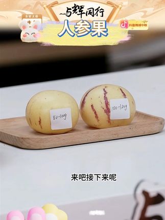云南人参果 #人参果 #云南人参果 #新鲜水果 #水果 #好物推荐