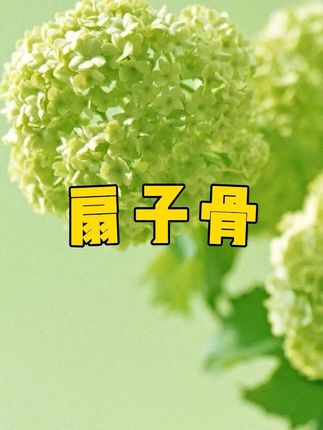 鲜鲜嫩嫩的,比烧烤店烤的还要好吃,关键超省事#这也太好吃了 #好吃到停不下来 #孜然扇子骨 #太香啦
