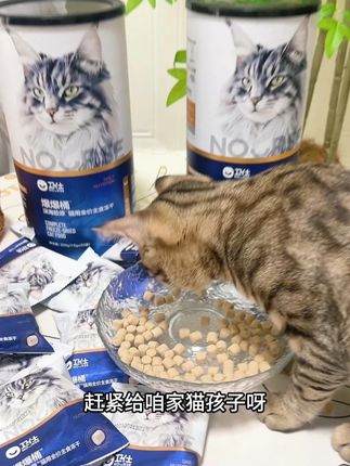 卫仕爆爆桶,现在买一桶送一桶,到手2大桶,养宠人赶紧来薅! #冻干 #萌宠好物 #卫仕爆爆桶