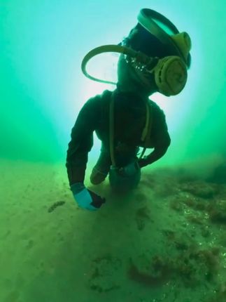 好纬度,好海参,有参,有胶更有情! 即食海参、 开袋即食、独立包装、水产品、好物分享#海参 #滋补养生 #高端食品 #开袋即食独立包装 #母婴健康