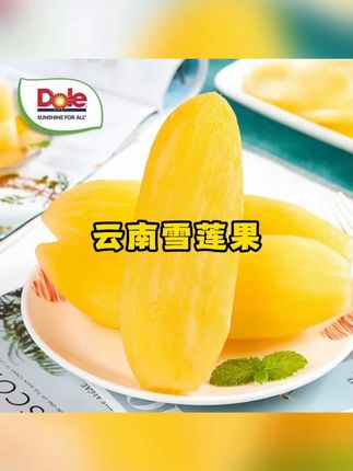 云南雪莲果3斤/5斤简装 清甜爽口 脆嫩多汁 赠刮皮刀#吃货必备 #水果 #新鲜采摘 #水果美食 #云南雪莲果
