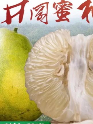 #爆款热卖中 #好物推荐🔥 正宗江西井冈蜜柚金沙柚吉水柚子安福金兰柚纯甜无酸爆汁吉安土柚#新鲜应季水果 #金兰柚 #柚子 #新鲜应季水果 #水果 #吃货必备 #好吃不贵经济实惠