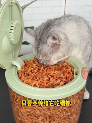 聪明的铲屎官早就不给猫咪吃鱼油了,而是吃这个又香又脆的南极磷虾。#猫零食 #猫咪零食 #冻干南极磷虾 #猫咪冻干 #猫咪冻干零食推荐