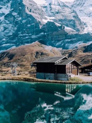 内搭打底衫 F3050半高领秋季白色木耳边仙女法式上衣内搭打底衫#内搭打底衫 #法式上衣 #木耳边仙女上衣 #打底衫 #时尚内搭