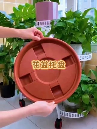 加厚花盆托盘带轮圆形托盘塑料花盆底盘垫盆栽底座移动花盘托底盘 #好物推荐 ? #每日好物推荐 #每日好物分亨 #今日分享 #抖音小助手