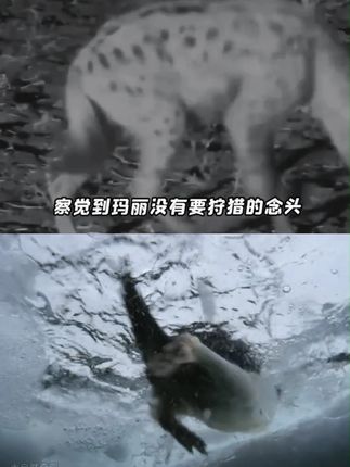 握笔器