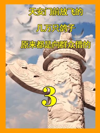 天安门前放飞的,几万只鸽子,原来都是向群众借的