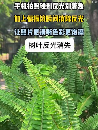 手机拍照碰到反光别着急,加上偏振镜瞬间消除反光,让照片更清晰色彩更饱满!#手机摄影 #拍照神器 -9.15