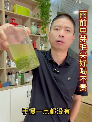 雨前中芽毛尖好喝不贵价格实惠#召唤茶友 #春茶 #今天你喝茶了吗 #喝茶 #喜欢喝茶关注我