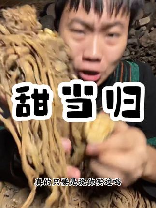 【甜当归 滋补煲汤养生泡酒无硫无加工 无蒸煮过 #好物分享 #三伏天养生指南 #热点宝 #甜当归 #无蒸煮过
