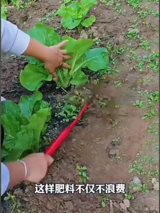 #我的小菜园 #田园生活乐趣多 家庭小菜园必备!轻便小锄头,挖土除草一键搞定!#锄头 #好物推荐🔥 #除草